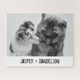 Puzzle Photo simple, moderne personnalisée pour animaux d
