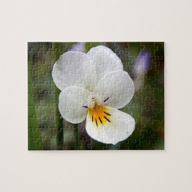 Puzzle photo Wild Pansy avec boîte cadeau (Horizontal)