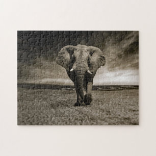 Puzzle Photo Wildlife Bull Elephant