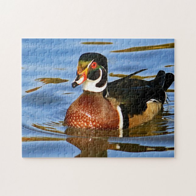 Puzzle Photo Wildlife Colorful Wood Duck Blue Water (Horizontal)
