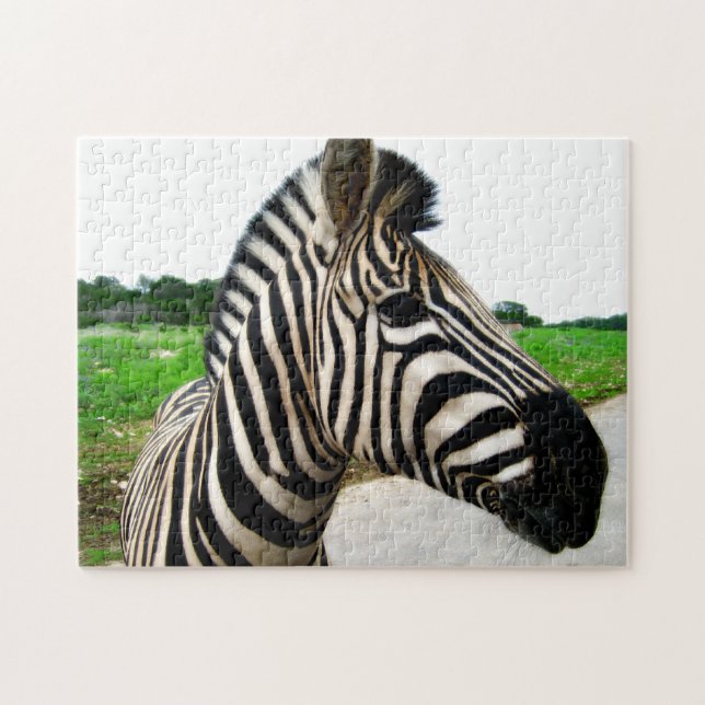 Puzzle Photographie cool Zebra (Horizontal)