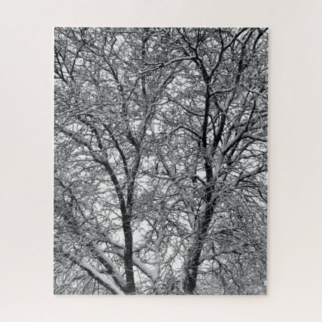 Puzzle Photographie de branches d'arbre enneigées en hive (Vertical)