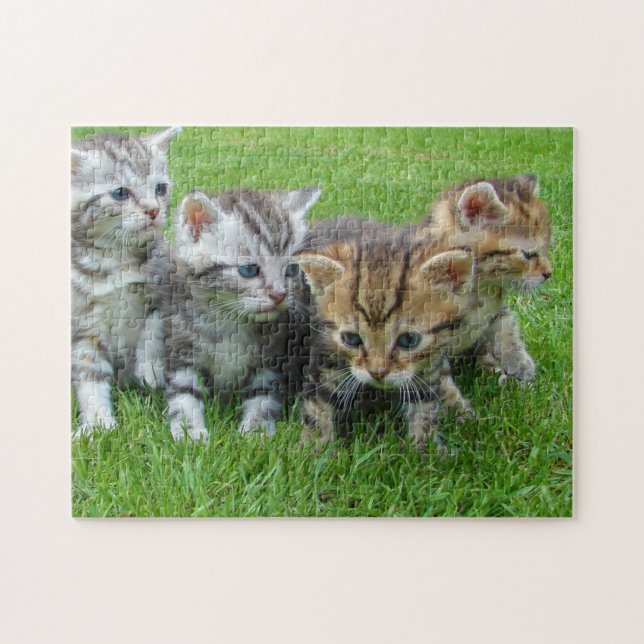 Puzzle Photographie de Cat Kitten Photographie d'un anima (Horizontal)