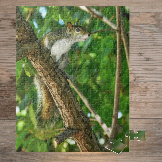 Puzzle Photographie de faune d'écureuil dans un arbre (Créateur téléchargé)