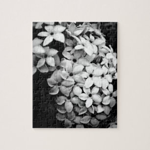 Puzzle Photographie de fleurs et de jardins vintage