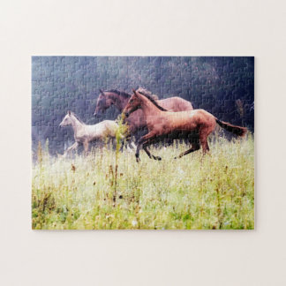 Puzzle Photographie de Galloping Horses