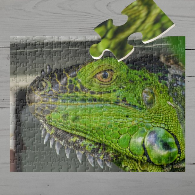 Puzzle Photographie de gros plan d'iguane vert (Créateur téléchargé)