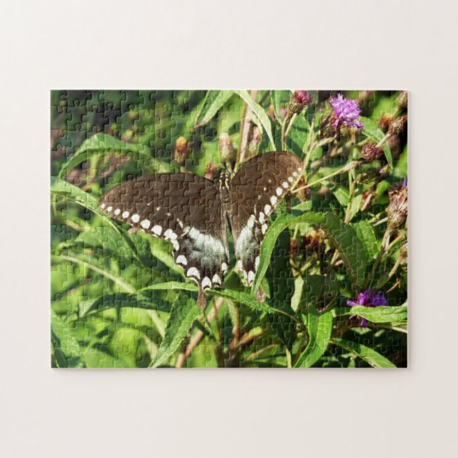 Puzzle Photographie de la nature du papillon noir Swallow (Horizontal)