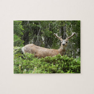 Puzzle Photographie de la nature et des cerfs de Yosemite