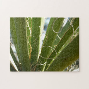 Puzzle Photographie de la nature verte Feuille du Yucca