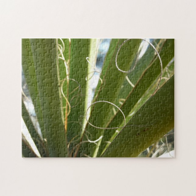 Puzzle Photographie de la nature verte Feuille du Yucca (Horizontal)