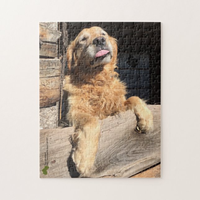 Puzzle Photographie de Silly Golden Retriever (Vertical)