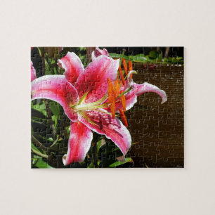 Puzzle Photographie de Stargazer Lily