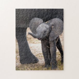 Puzzle Photographie des éléphants des animaux mères et de