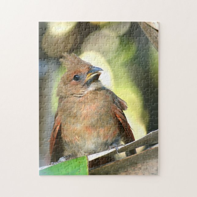 Puzzle Photographie du cardinal naissant Baby Bird (Vertical)