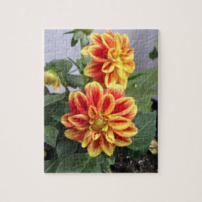 Puzzle Photographie florale orange (Vertical)