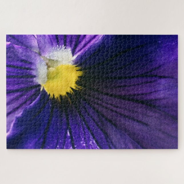 Puzzle Photographie macro de purple pansy (Horizontal)