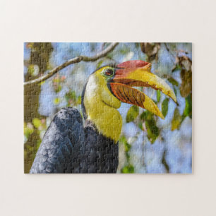 Puzzle Photographie Oiseau d'Hornbill en ébullition dans