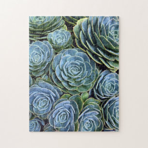 Puzzle Photographie Succulente Jour Cactus Stock