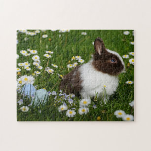 Puzzle Photos de lapin des meilleures photos de faune