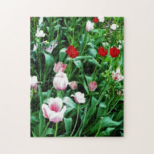 Puzzle Photos de tulipes rouges et roses