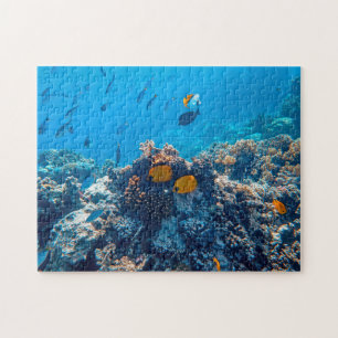 Puzzle Photos nautiques Animaux marins Photographie Poiss