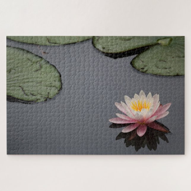 Puzzle Photos Pink Water Lily (Horizontal)
