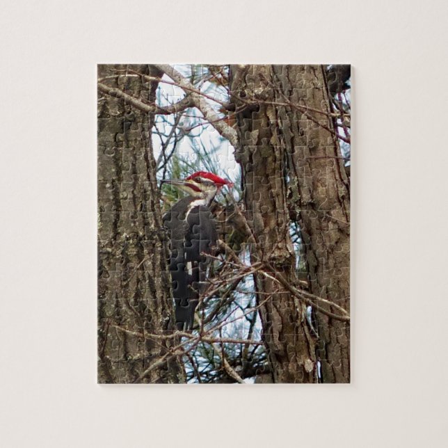Puzzle Pic à tête rouge mâle (Vertical)