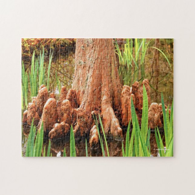 Puzzle Pieds Baldaquin Cypress (Horizontal)