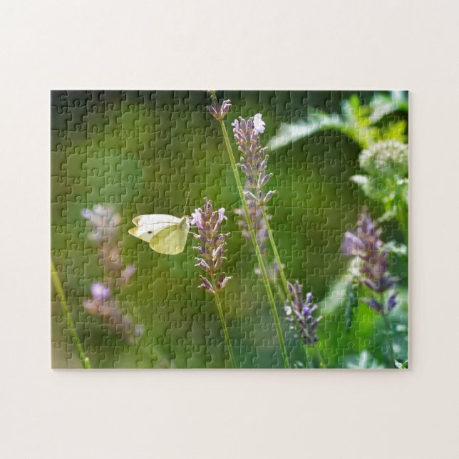 Puzzle piéride du chou (Horizontal)