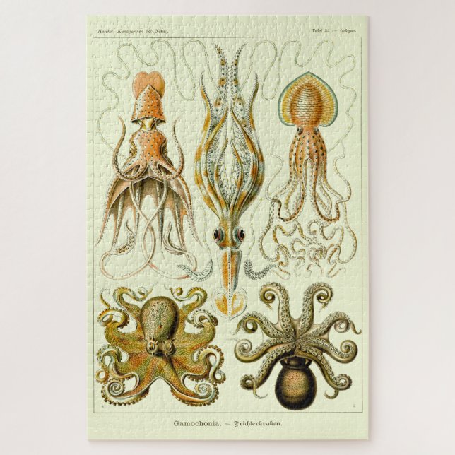 Puzzle Pieuvre marine vintage par Ernst Haeckel (Vertical)