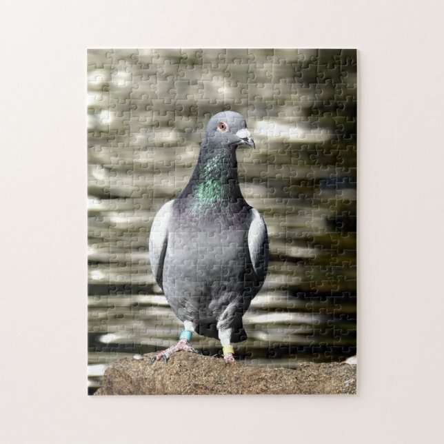 Puzzle Pigeon (Vertical)