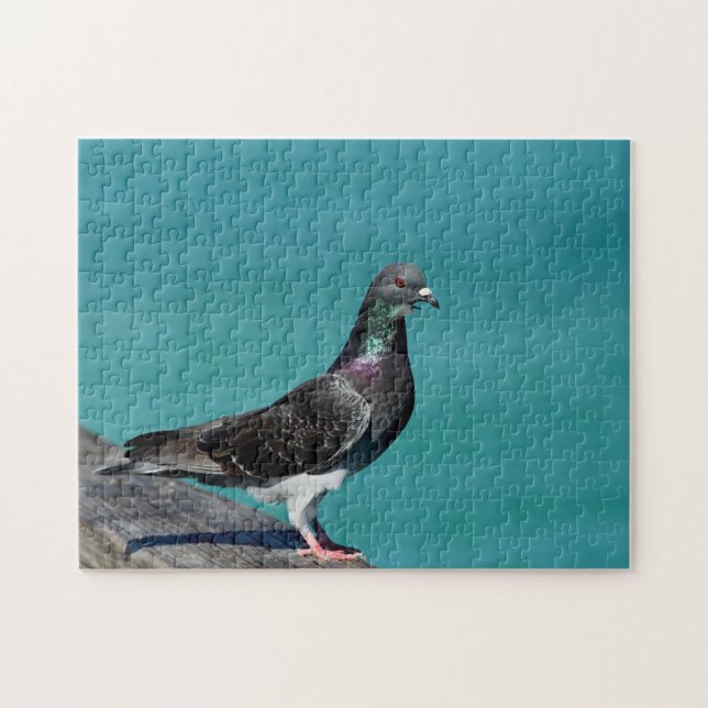 Puzzle Pigeon biset (Horizontal)