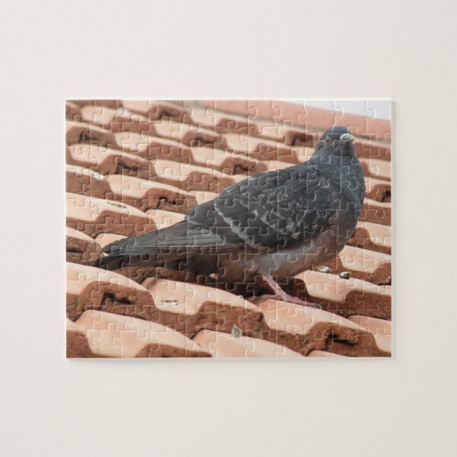 Puzzle Pigeon sur le toit (Horizontal)