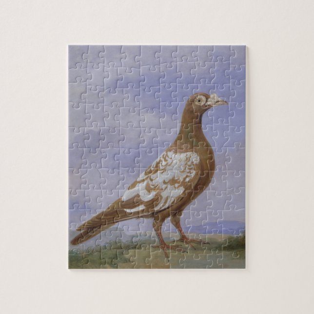 Puzzle Pigeon voyageur pie rouge (huile sur la toile) (Vertical)