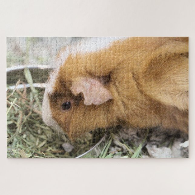 Puzzle Piggy (Horizontal)
