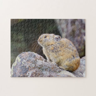 Puzzle Pika