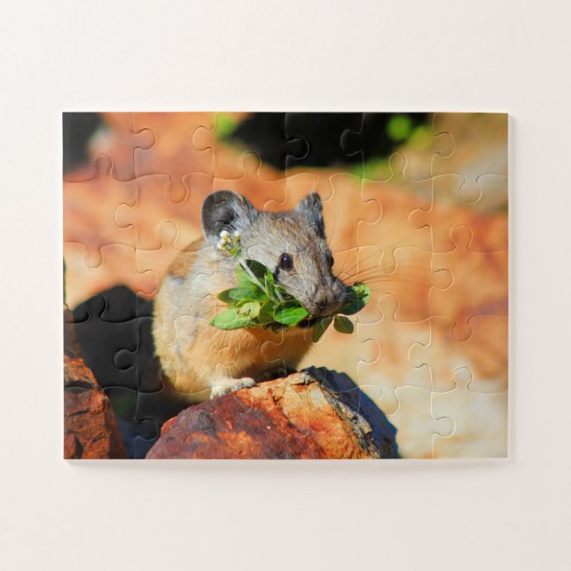 Puzzle Pika Cheval Sur Plantes (Horizontal)