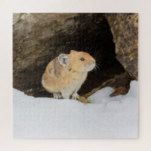 Puzzle Pika en neige