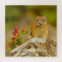Pika Tenant Des Feuilles Dans La Bouche
