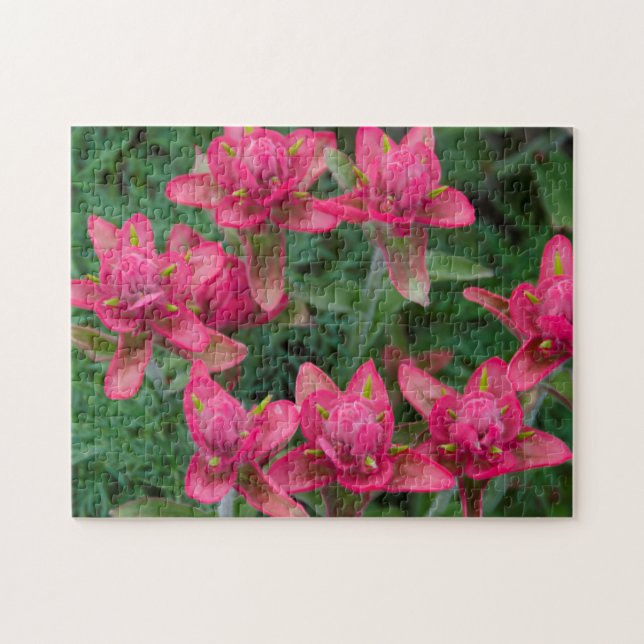 Puzzle Pinceau Indien (Horizontal)
