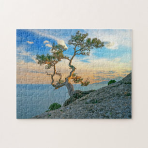 Puzzle Pine Tree On Rocks Nature Paysage Océan Coucher de