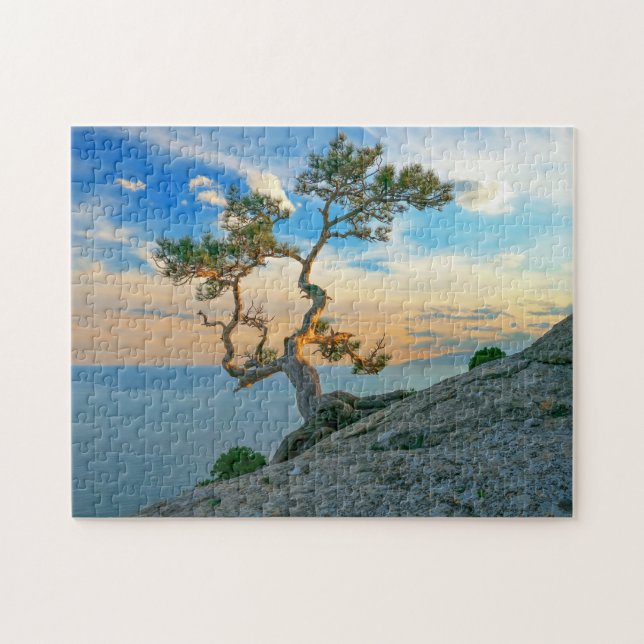 Puzzle Pine Tree On Rocks Nature Paysage Océan Coucher de (Horizontal)
