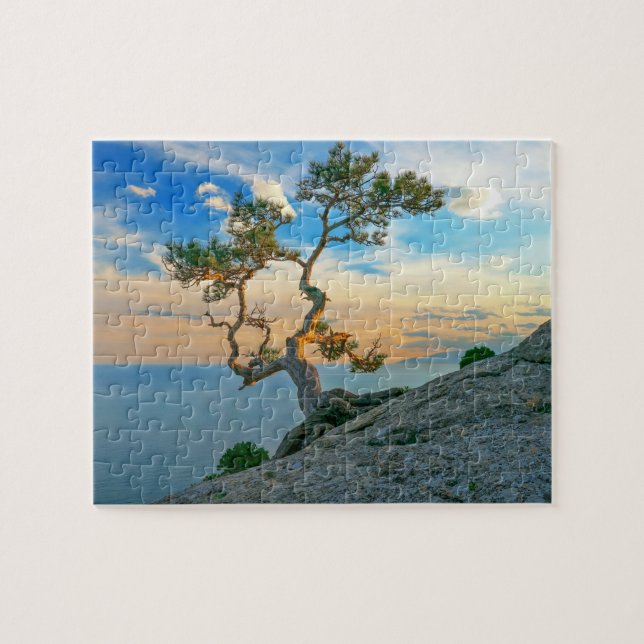 Puzzle Pine Tree On Rocks Nature Paysage Océan Coucher de (Horizontal)