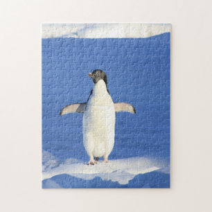 Puzzle Pingouin drôle sur la glace