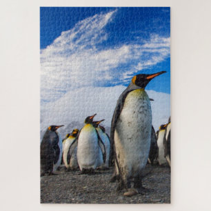 Puzzle Pingouins Marching Ciel bleu