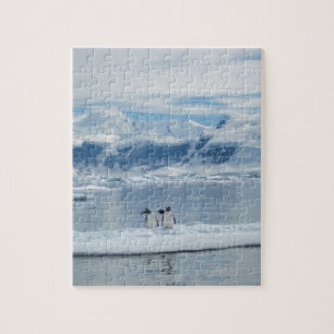 Puzzle Pingouins sur un iceberg