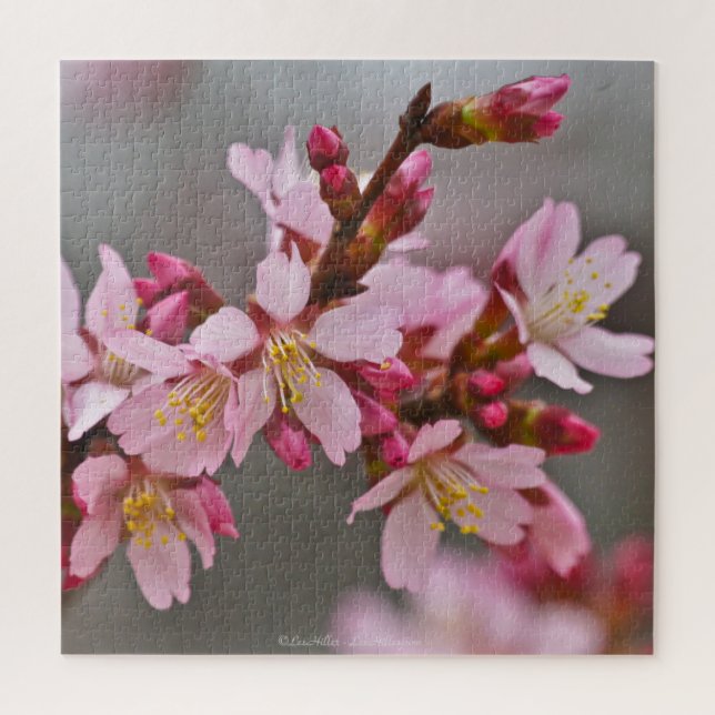 Puzzle Pink Against A Gray Sky Japanese Cherry Blossoms (Vertical)