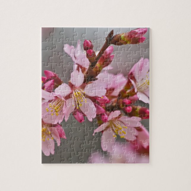 Puzzle Pink Against A Gray Sky Japanese Cherry Blossoms (Vertical)