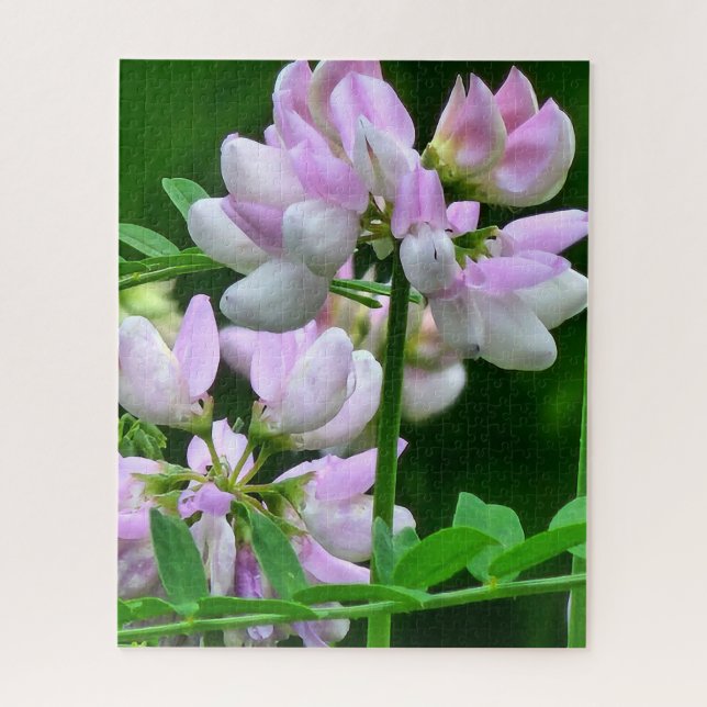 Puzzle Pink and White Flower Buds (Vertical)